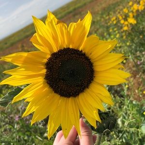 Meet your Posher, Kaelyn